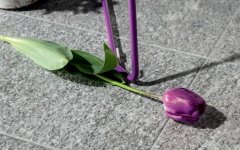 img(33).jpeg